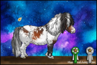 Horse Color:White Spotted Bay Appaloosa 