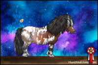 Horse Color:White Spotted Bay Appaloosa