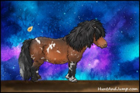 Horse Color:White Spotted Bay 