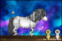 Horse Color:White Spotted Brown Chinchilla Appaloosa 