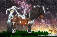 Horse Color:White Spotted Brown 