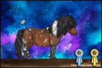 Horse Color:White Spotted Bay 