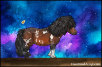 Horse Color:White Spotted Brown 