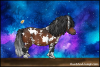 Horse Color:White Spotted Bay 