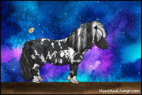 Horse Color:White Spotted Black 