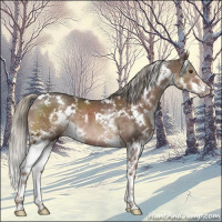 Horse Color:White Spotted Liver Chestnut Mushroom Splash 