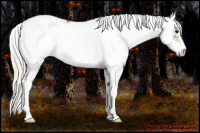 Horse Color:Silver Smoky Black Sabino 