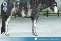 Horse Color:White Spotted Black 