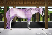 Horse Color:Watercolor Plaid  Liver Red Onyx Pearl Sabino 