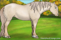Horse Color:Chocolate Palomino Pearl Dun 