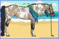 Horse Color:White Spotted Brown Dun Varnish 
