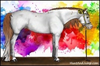 Horse Color:Chestnut Splash Near Fewspot Rabicano 