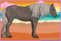 Horse Color:Silver Black 