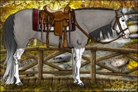 Horse Color:Grullo Roan Sabino Splash  and Grullo Roan Sabino Splash 