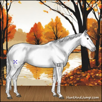 Horse Color:Gray Red Dun 