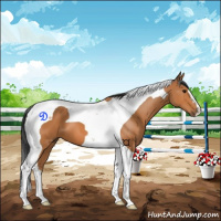 Horse Color:Bay Tobiano 