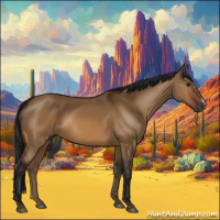 Horse Color:Gray Bay Dun 