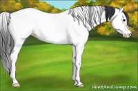 Horse Color:Bay Roan Splash Fewspot Rabicano 