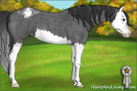 Horse Color:Blue Roan Splash Snowcap 