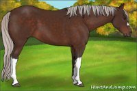 Horse Color:Silver Brown