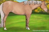 Horse Color:Silver Sable Champagne