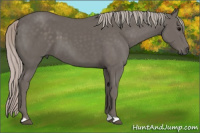 Horse Color:Silver Black 