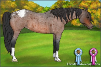 Horse Color:Bay Roan Snowcap 