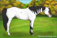Horse Color:Brown Roan Near Fewspot 