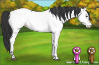 Horse Color:Blue Ice Roan Appaloosa Rabicano 