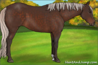 Horse Color:Silver Brown