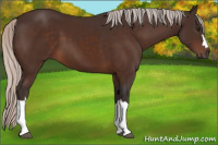 Horse Color:Silver Brown 