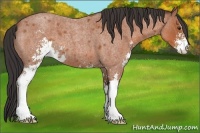 Horse Color:Brown Roan Sabino 