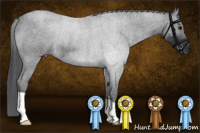 Horse Color:Blue Roan Rabicano