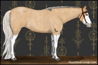 Horse Color:Silver Buckskin Roan Splash 