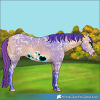 Horse Color:Painted Watercolor Buckskin Ice Frame