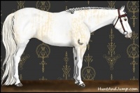 Horse Color:White Spotted Palomino Dun Rabicano  and White Spotted Palomino Dun Near Leopard Rabicano 
