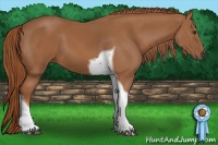 Horse Color:Chestnut Tobiano 