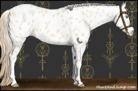 Horse Color:Perlino Appaloosa