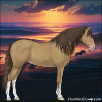 Horse Color:Classic Cream Champagne 