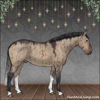 Horse Color:Brown Roan Dun Brindle 