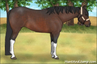Horse Color:Brown Roan