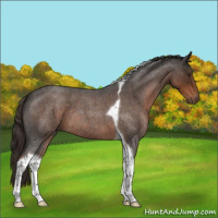 Horse Color:Liver Red Roan Tobiano 