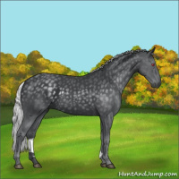 Horse Color:Silver Black Chinchilla 