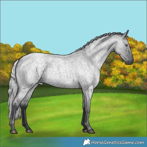 Horse Color:Silver Grullo Chinchilla Roan 