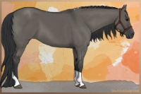 Horse Color:Grullo Tobiano 