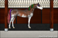 Horse Color:Painted Brown Splash 
