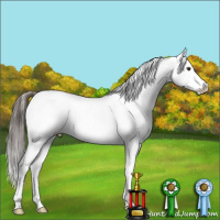 Horse Color:Liver Chestnut Snowflake Varnish