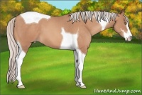Horse Color:Silver Sable Champagne Sabino Tobiano 