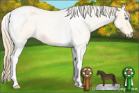 Horse Color:Perlino Tobiano 