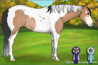 Horse Color:Bay Sabino Tobiano Rabicano 